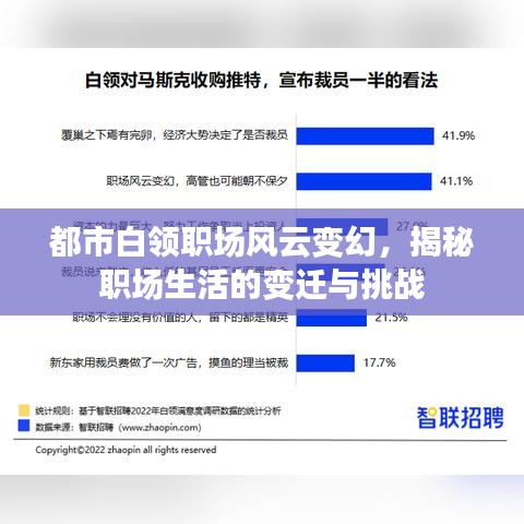 都市白领职场风云变幻，揭秘职场生活的变迁与挑战