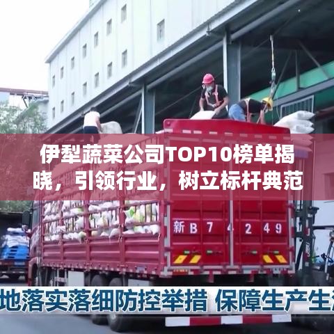 伊犁蔬菜公司TOP10榜单揭晓，引领行业，树立标杆典范