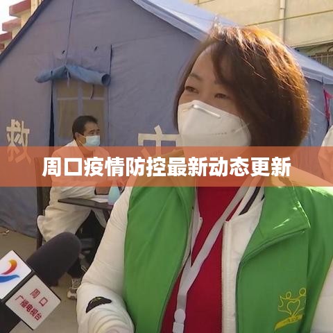 周口疫情防控最新动态更新