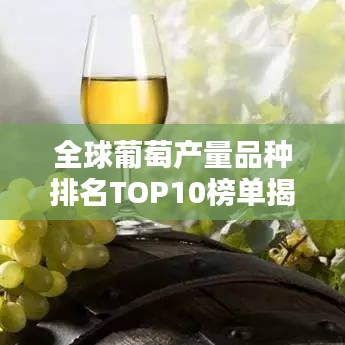 全球葡萄产量品种排名TOP10榜单揭晓