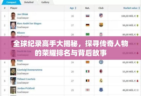 全球纪录高手大揭秘，探寻传奇人物的荣耀排名与背后故事