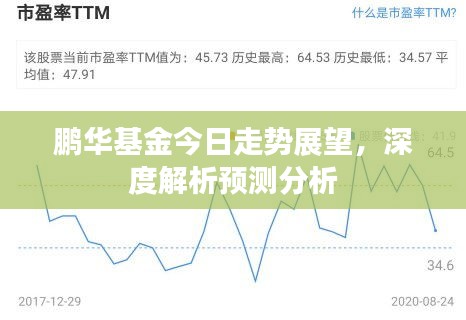 鹏华基金今日走势展望，深度解析预测分析