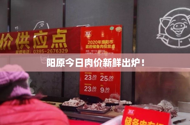 阳原今日肉价新鲜出炉！