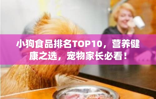 小狗食品排名TOP10，营养健康之选，宠物家长必看！