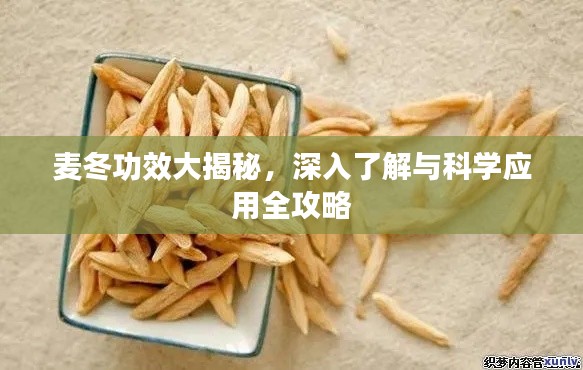 麦冬功效大揭秘，深入了解与科学应用全攻略