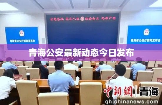 青海公安最新动态今日发布