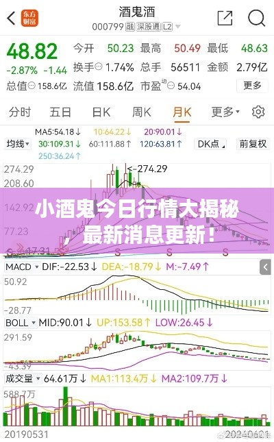 小酒鬼今日行情大揭秘，最新消息更新！