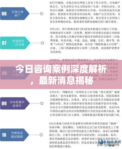 今日咨询案例深度解析，最新消息揭秘