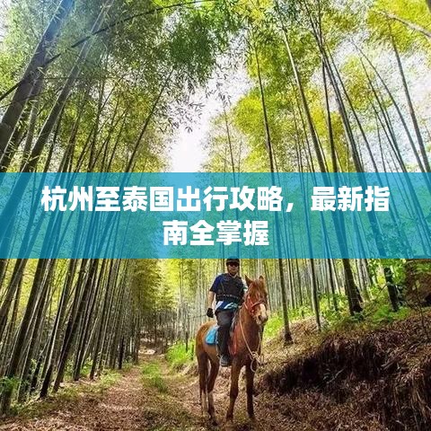 杭州至泰国出行攻略，最新指南全掌握