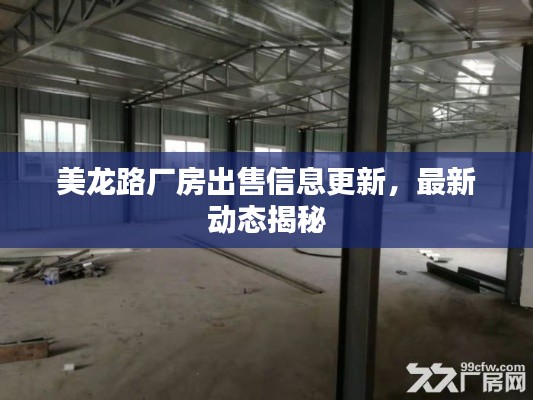 美龙路厂房出售信息更新，最新动态揭秘