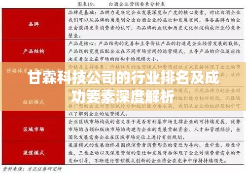 甘霖科技公司的行业排名及成功要素深度解析