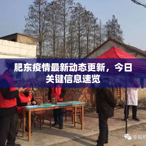 肥东疫情最新动态更新，今日关键信息速览