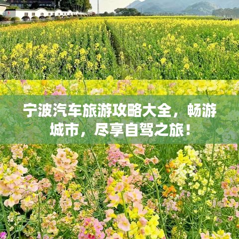 宁波汽车旅游攻略大全，畅游城市，尽享自驾之旅！