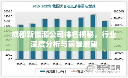 成都新能源公司排名揭秘，行业深度分析与前景展望