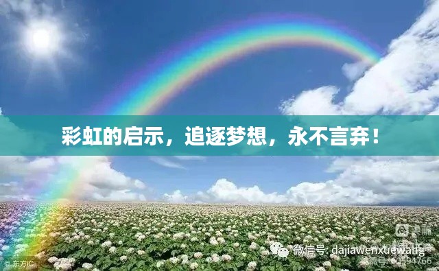 彩虹的启示，追逐梦想，永不言弃！