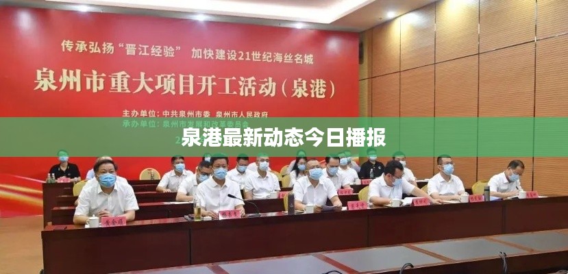 泉港最新动态今日播报
