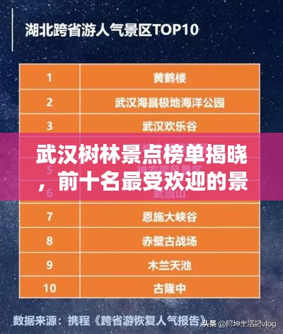 武汉树林景点榜单揭晓，前十名最受欢迎的景点推荐！