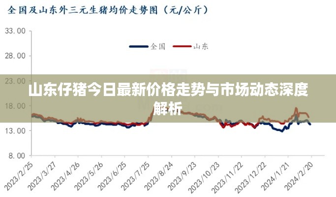 山东仔猪今日最新价格走势与市场动态深度解析