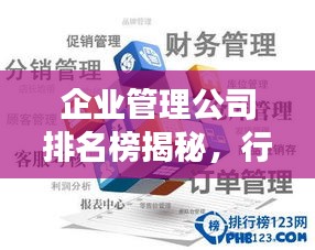 企业管理公司排名榜揭秘，行业领军者的成功奥秘探索