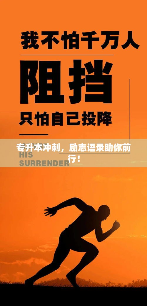 专升本冲刺，励志语录助你前行！