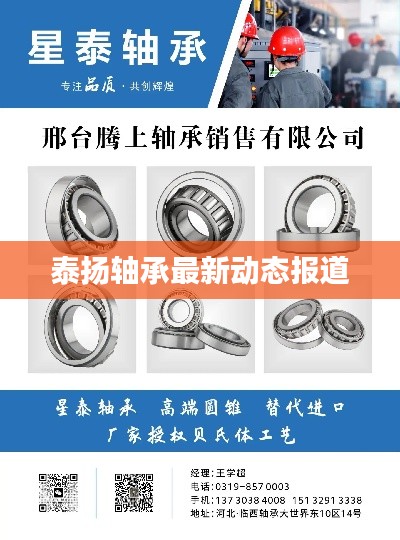 泰扬轴承最新动态报道