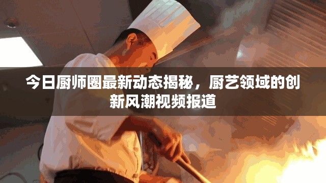 今日厨师圈最新动态揭秘，厨艺领域的创新风潮视频报道