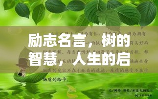 励志名言，树的智慧，人生的启示
