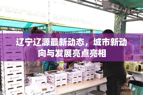 辽宁辽源最新动态，城市新动向与发展亮点亮相