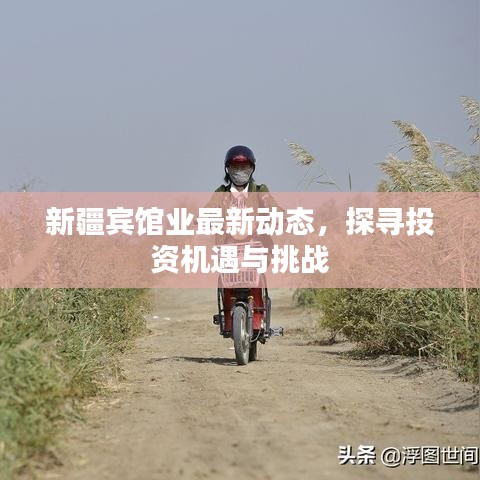 新疆宾馆业最新动态，探寻投资机遇与挑战