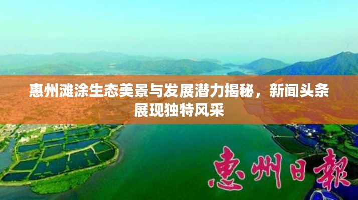 惠州滩涂生态美景与发展潜力揭秘，新闻头条展现独特风采