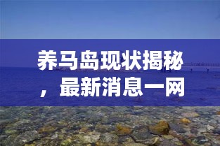 养马岛现状揭秘，最新消息一网打尽