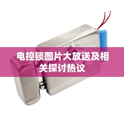 电控锁图片大放送及相关探讨热议