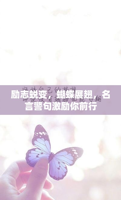 励志蜕变，蝴蝶展翅，名言警句激励你前行