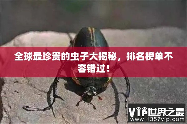 全球最珍贵的虫子大揭秘，排名榜单不容错过！