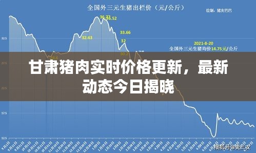 甘肃猪肉实时价格更新，最新动态今日揭晓