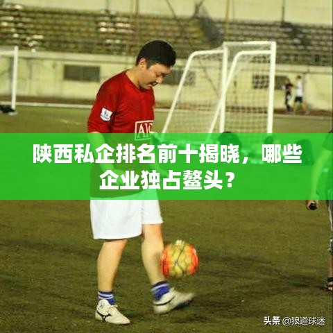 陕西私企排名前十揭晓，哪些企业独占鳌头？
