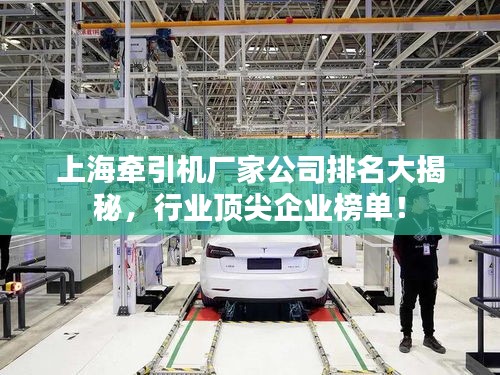 上海牵引机厂家公司排名大揭秘，行业顶尖企业榜单！