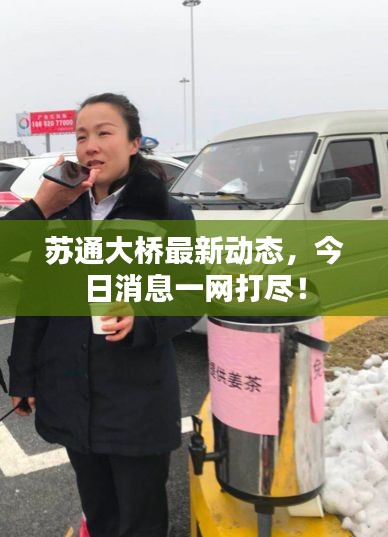 苏通大桥最新动态，今日消息一网打尽！
