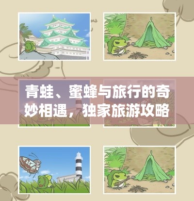 青蛙、蜜蜂与旅行的奇妙相遇，独家旅游攻略分享