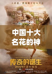 中国十大名花的神秘传说，传奇故事大揭秘！