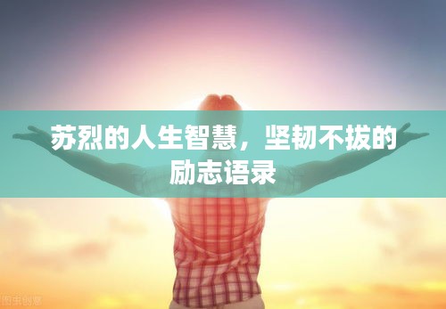苏烈的人生智慧，坚韧不拔的励志语录