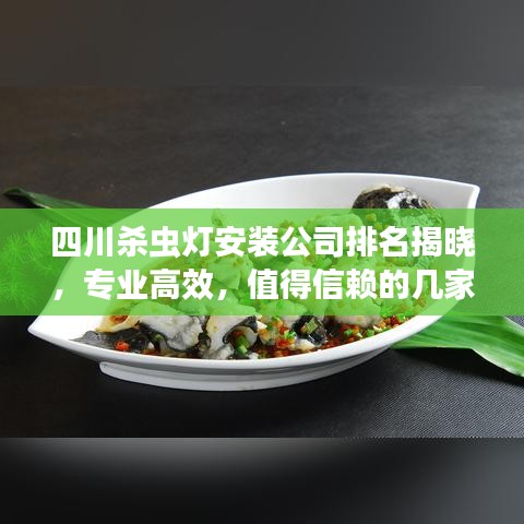 四川杀虫灯安装公司排名揭晓，专业高效，值得信赖的几家企业