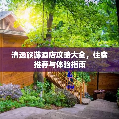 飞来飞去