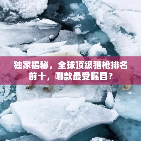 独家揭秘，全球顶级猎枪排名前十，哪款最受瞩目？