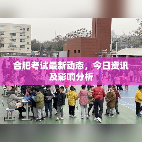 合肥考试最新动态，今日资讯及影响分析