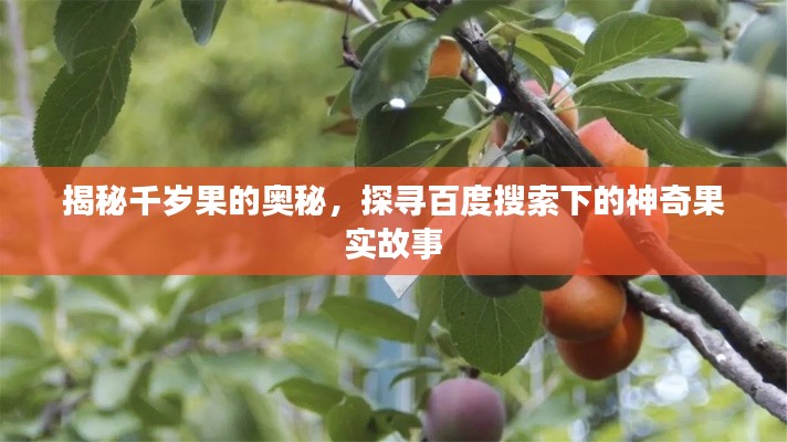 揭秘千岁果的奥秘，探寻百度搜索下的神奇果实故事