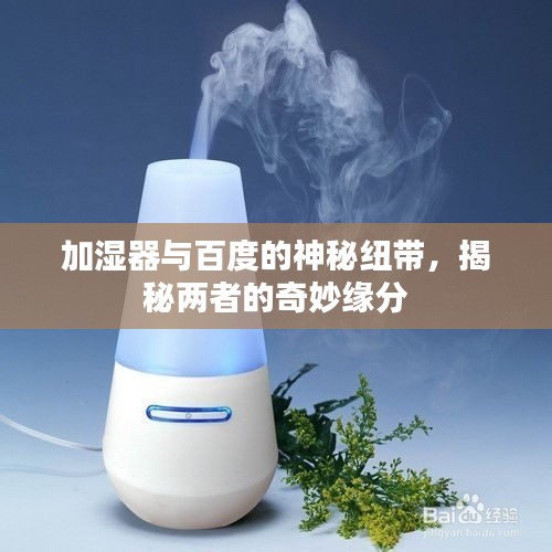 加湿器与百度的神秘纽带，揭秘两者的奇妙缘分