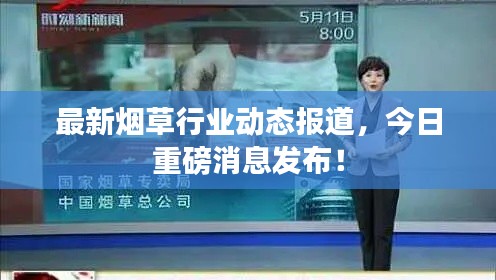 侃侃而谈