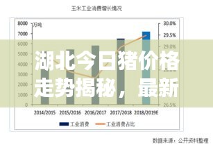 湖北今日猪价格走势揭秘，最新动态与行情分析