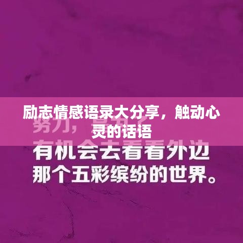 励志情感语录大分享，触动心灵的话语